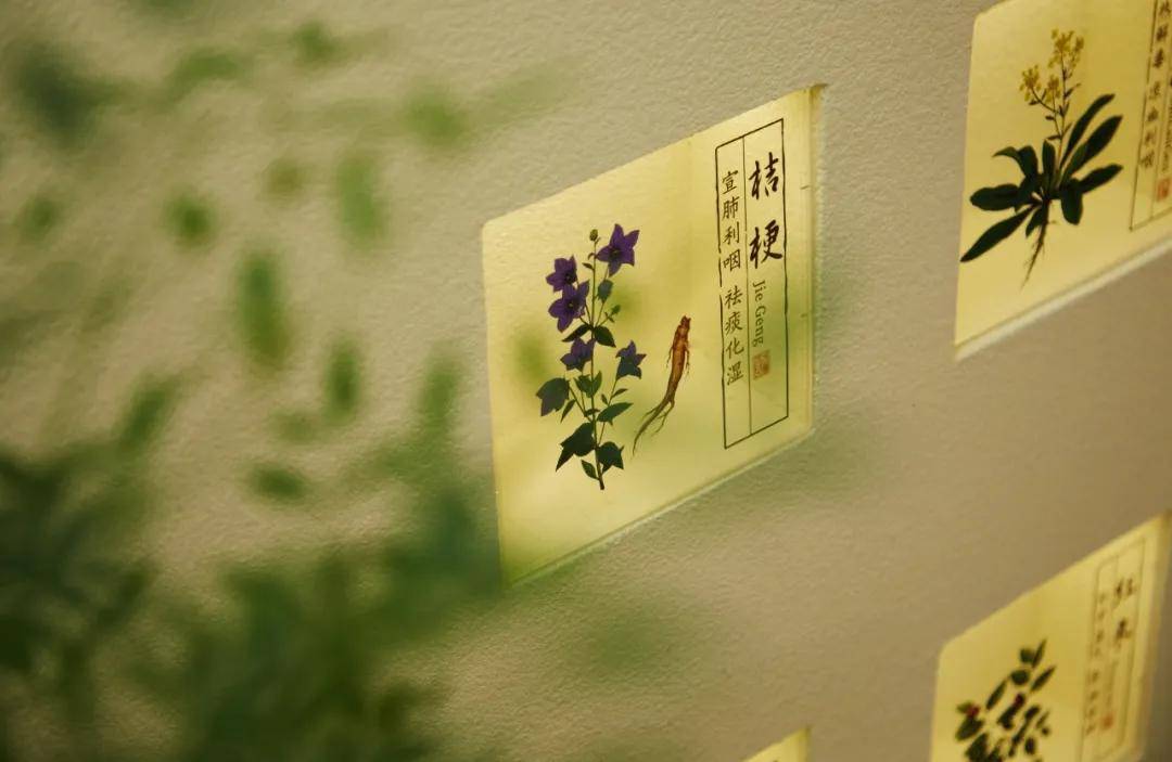 脚气脚趾糜烂怎么办？新加坡贡方堂TCM丘保润一个外洗方化解！