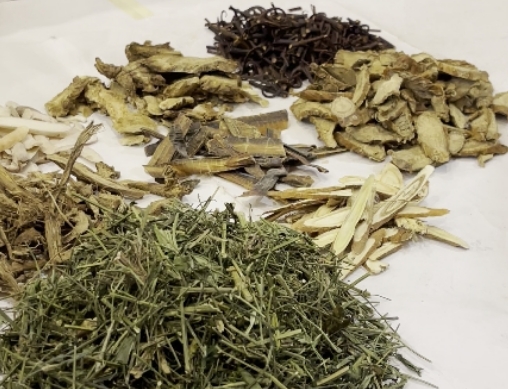妇科炎症白带多怎么办？新加坡贡方堂TCM丘保润一方摆脱困扰！