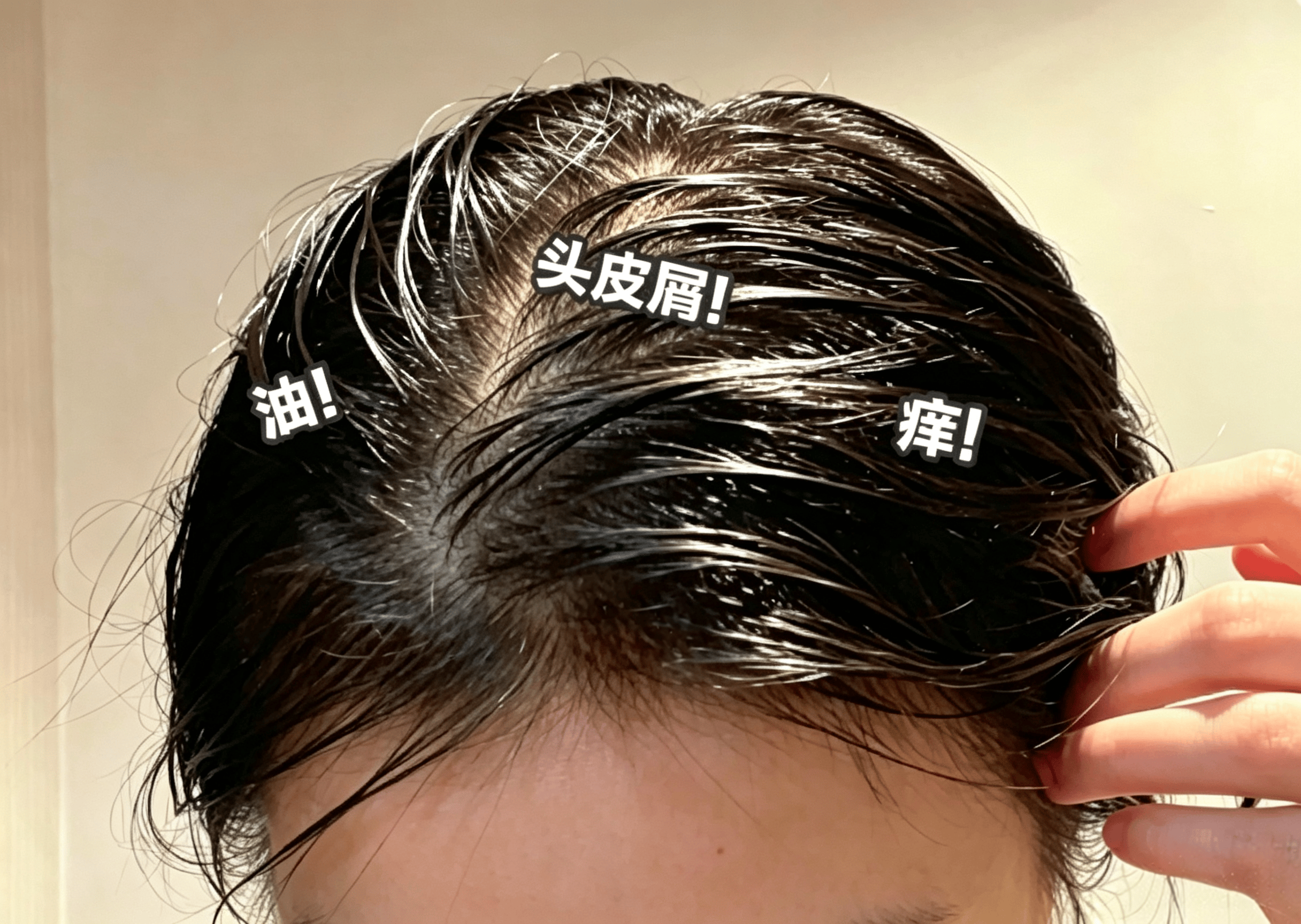 文章配图-1